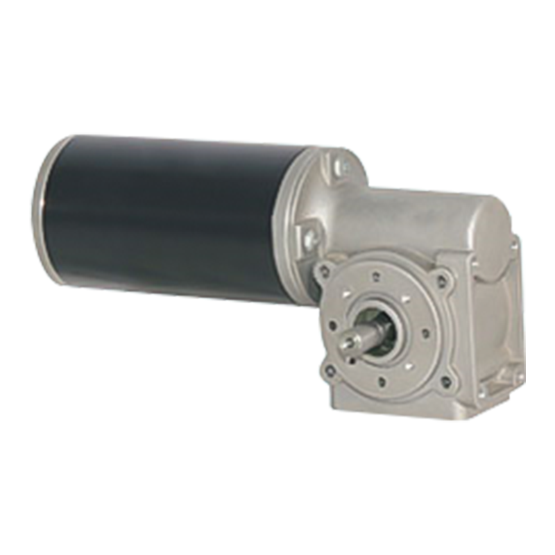 63JW/63ZY125 Motor cu angrenaj melcat periat cu cuplu ridicat cu encoder/frână opțional