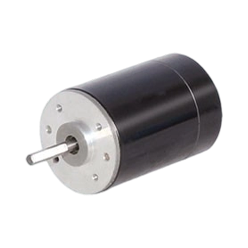 38ZY63 38mm 24V/48V Motor DC periat cu magnet permanent