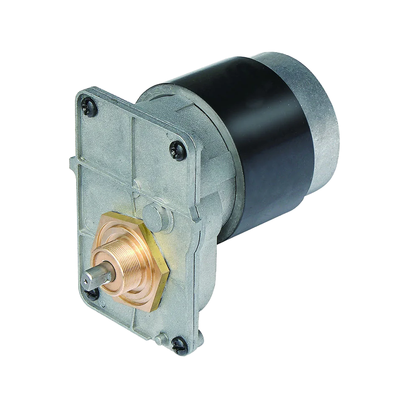 Motor cu angrenaj DC rezistent la coroziune de 63 mm pentru roboții de curățare a piscinelor