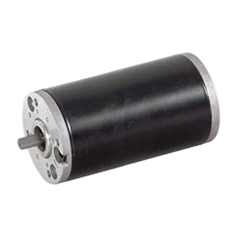 63ZY125 Motor de curent continuu periat cu magnet permanent de 63 mm cu nivel ridicat de protecție